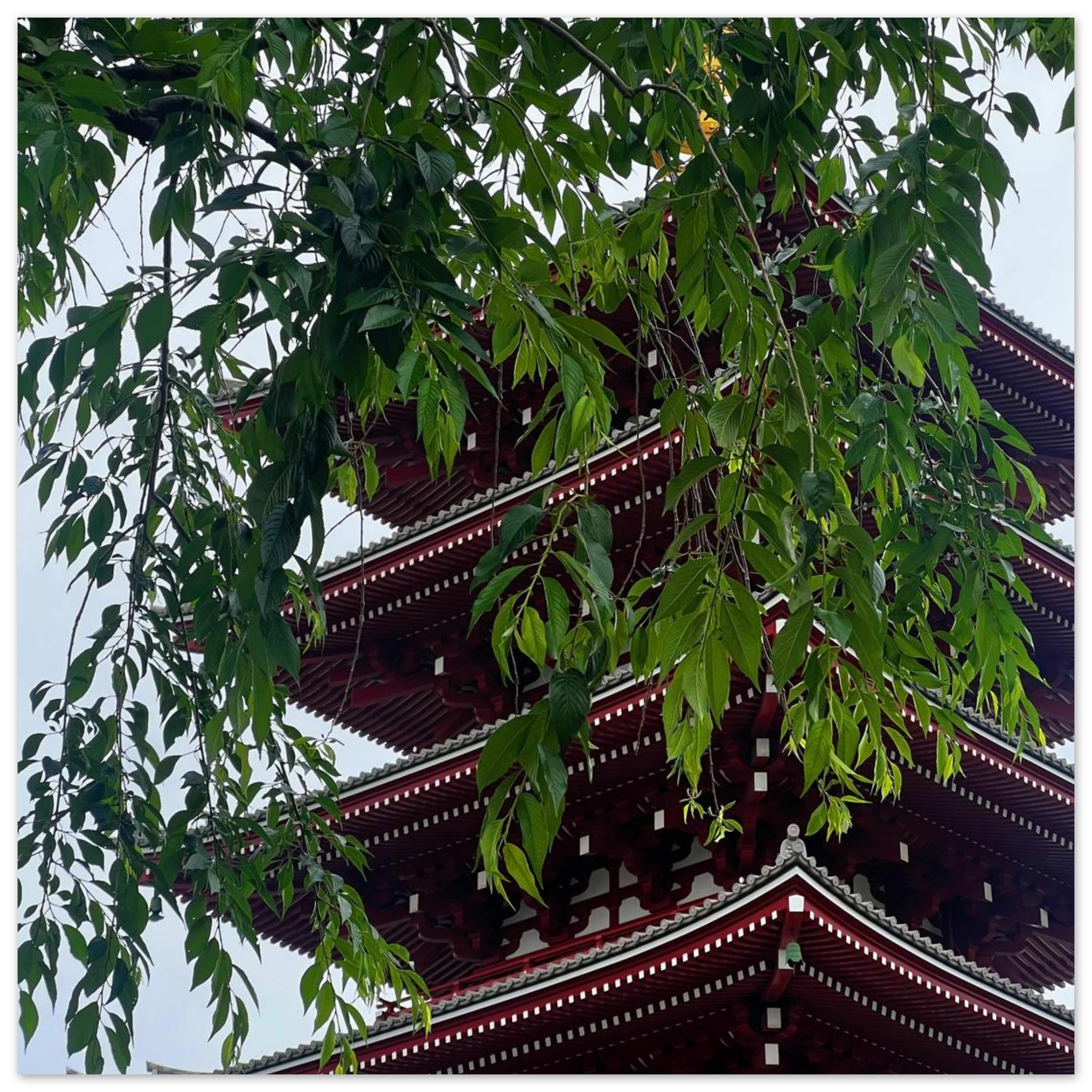 f41823de-9358-465f-bca6-7e1662ff9108