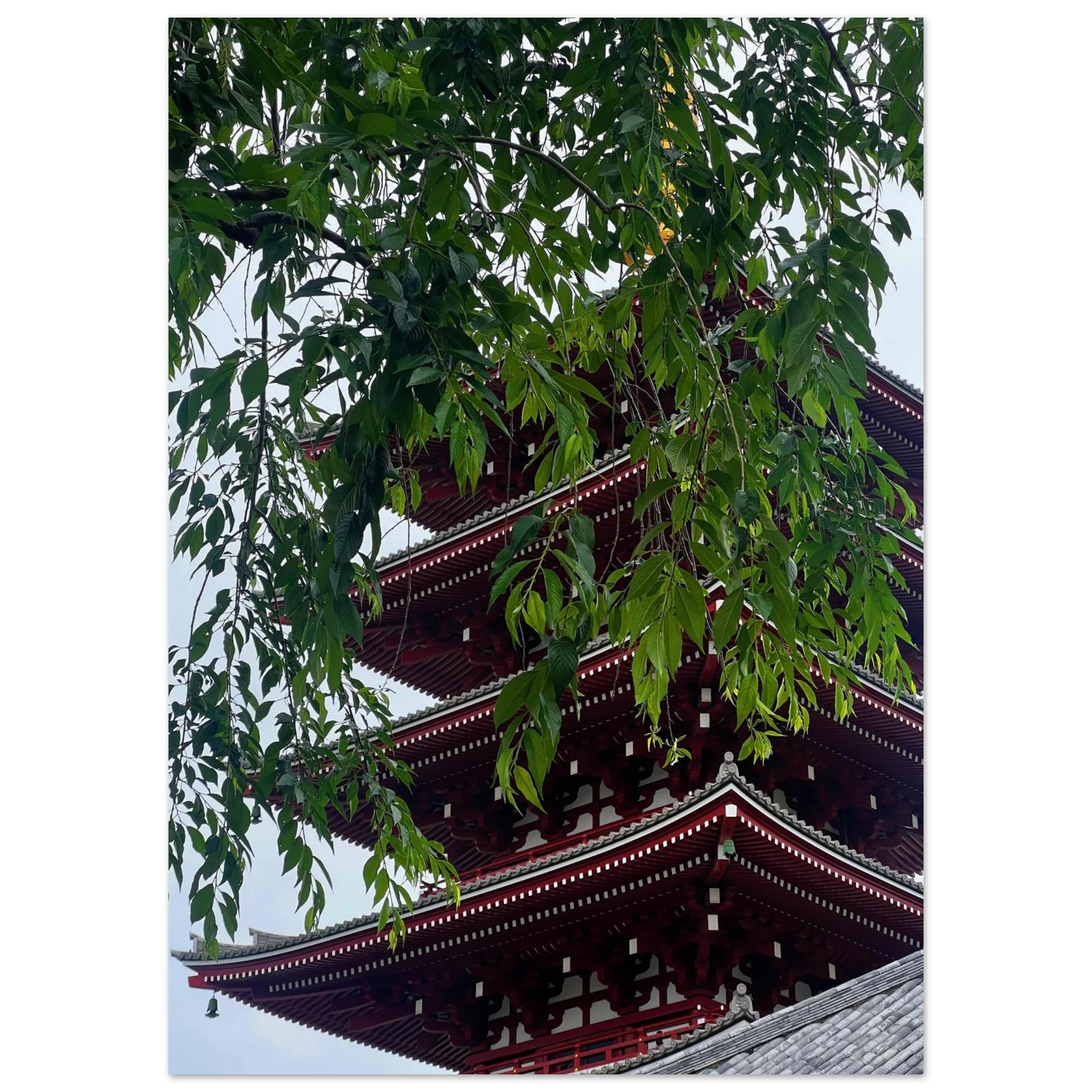 f83c8569-071d-43c7-9033-e7b342eae2ad